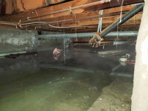 Best Water damage restoration near me  in Palos Heights, IL