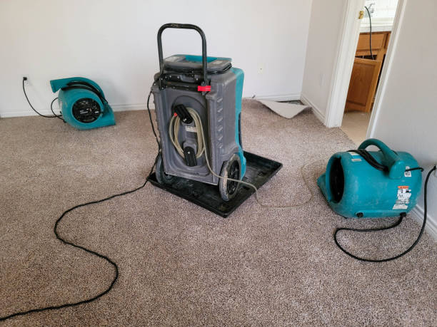 Best Mold removal after water damage  in Palos Heights, IL