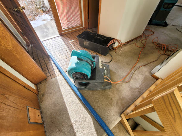 Best Commercial water damage restoration  in Palos Heights, IL