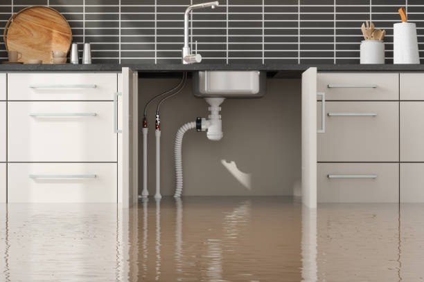 Water damage restoration insurance claims in IL