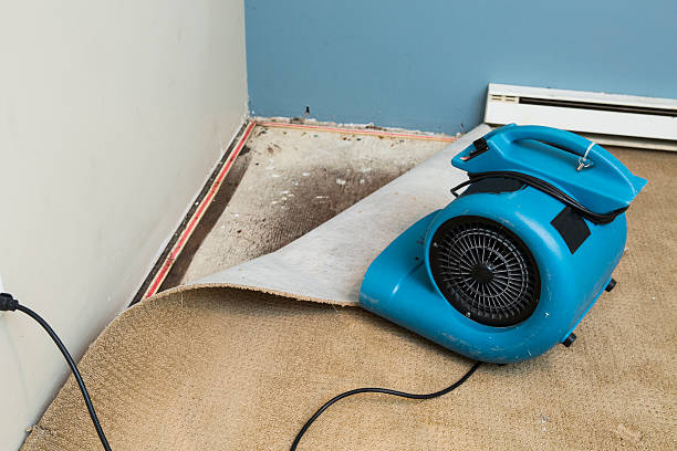 Best Flood restoration services  in Palos Heights, IL